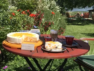 Die Pfirsich-Buttermilch-Sonne strahlt im Garten der Diele am See mit der richtigen Sonne um die Wette (Herzogtum Lauenburg)