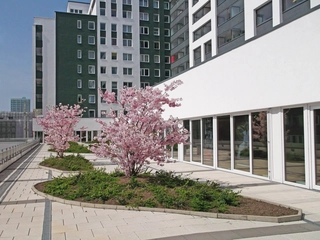 Auf der Dachterrasse der Säle im SOAL Hamburg eignet sich perfekt, um Pausen an der frischen Luft zu genießen