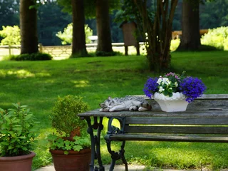 Sitzplatz mit Katze, Seminarhof Feuerborn Osterholz-Scharmbeck