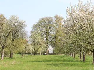 Der Frühling hält Einzug auf Gut Karlshöhe: die Bäume blühen