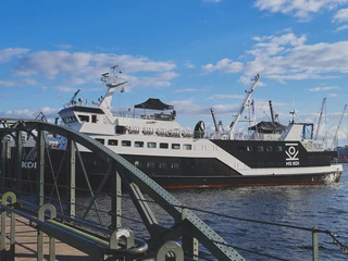 MS Koi Außenansicht