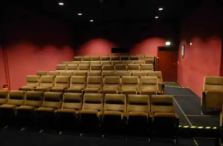 Kinosaal Institut français