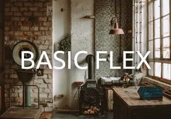 Basic Flex