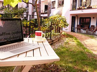 Im Garten des Hundertwasserhauses mit dem ecos office center Magdeburg, lässt es sich an der frische Luft arbeiten