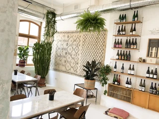 Urban Jungle und eine ansprechende Weinauswahl im lichtdurchfluteten Raum HEAT in Hamburg