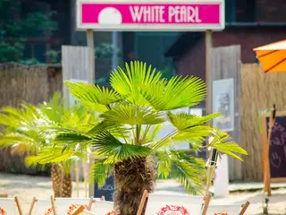 Palmen Beach Club White Pearl Bremen